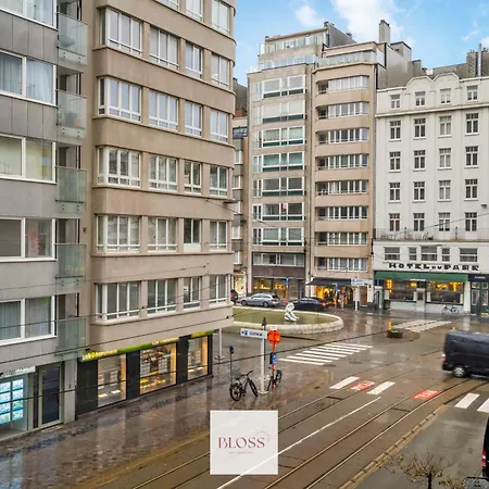 Bloss. * Ostende